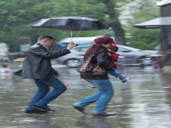 Львівський дощ