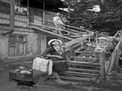 Мелодія старого кварталу