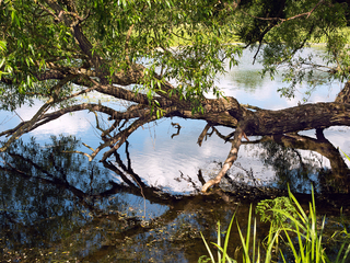 Відображення