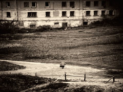 дорога додому