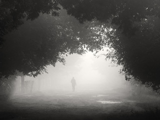 ранкова прогулянка