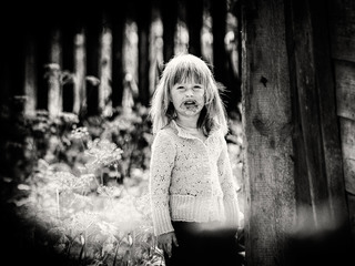 шоколадна радість