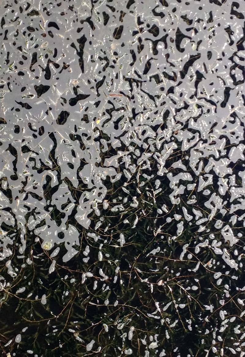 абстрактна фотографія