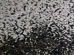 абстрактна фотографія