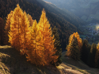 Осенние лампы