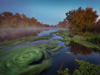 Водовороты
