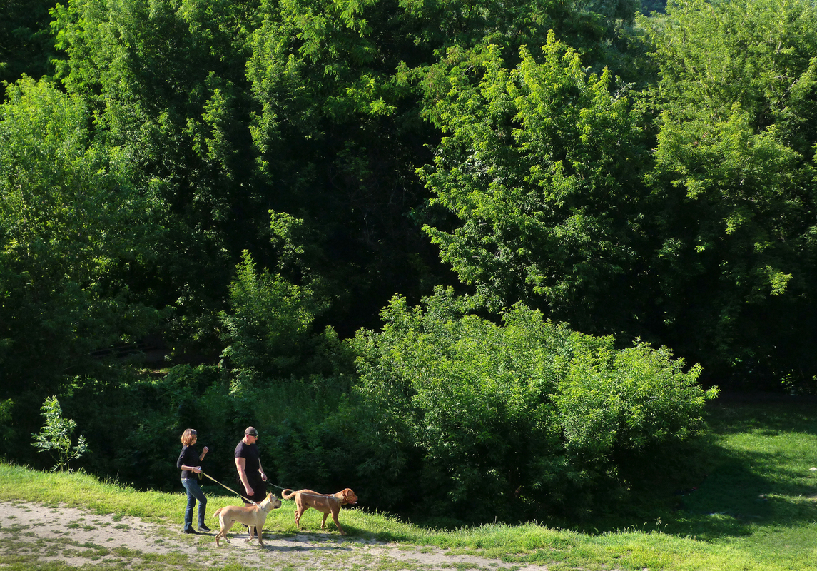 Прогулянка