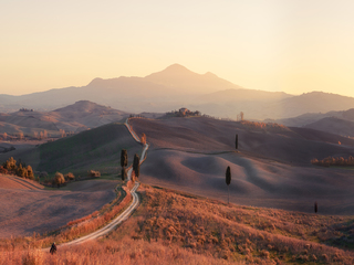 Золоті схили Тоскани