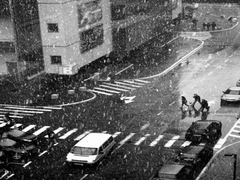 Перший сніг