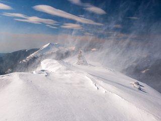 Весняний бунт