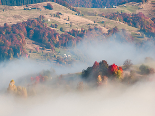 Ранок за селом