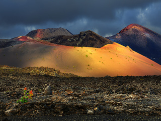 Life on the volcanoes nr.4