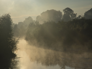 Туманними берегами