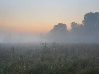 На світанні
