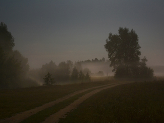 Тиха українська ніч