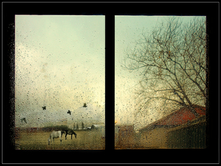 Autumn behind a window