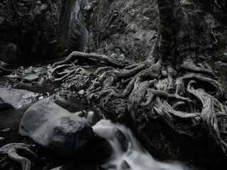 Near Millomeri waterfall,Troodos,Cyprus