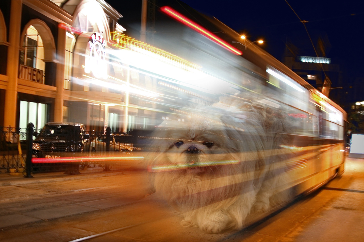 Loneliness in the night