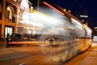 Loneliness in the night