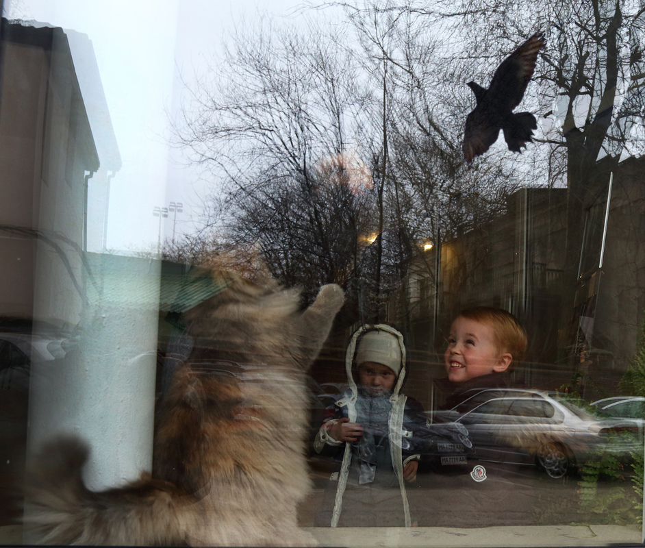 The Conductor of the Wonderland