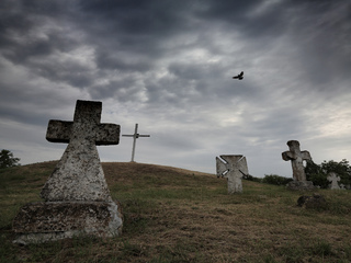 Shadows of forgotten ancestors