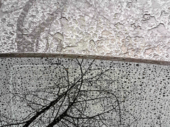 Состояния воды