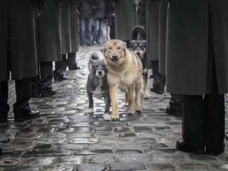 Walking between rows