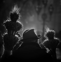 Перекласти троє дідухів three Didukh