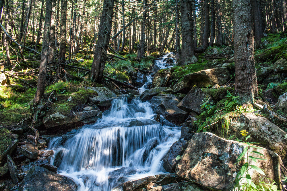 Гірський потік