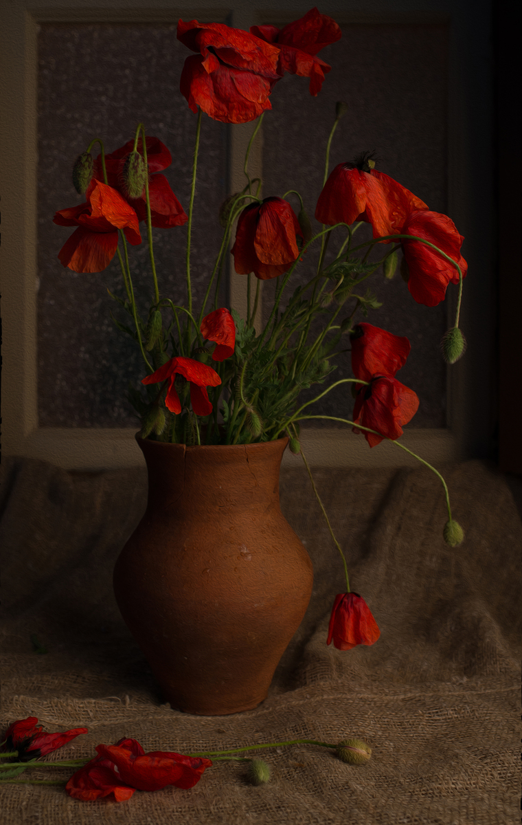 Poppies