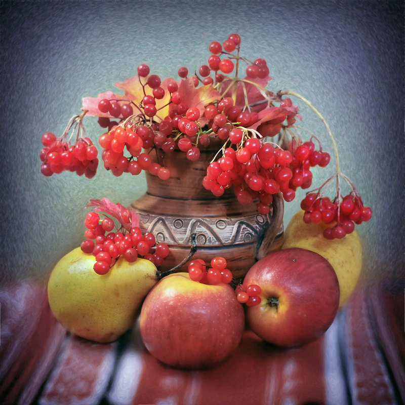 Натюрморт с калиной