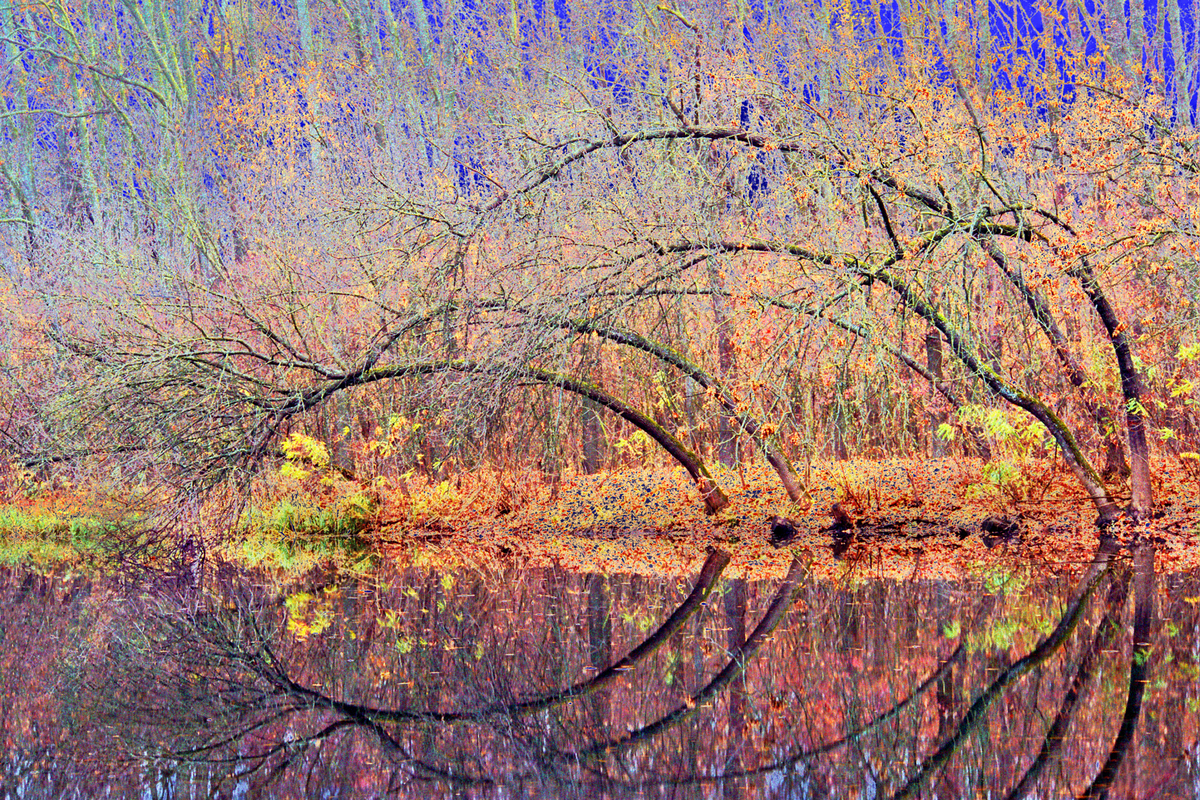 Волшебное озеро