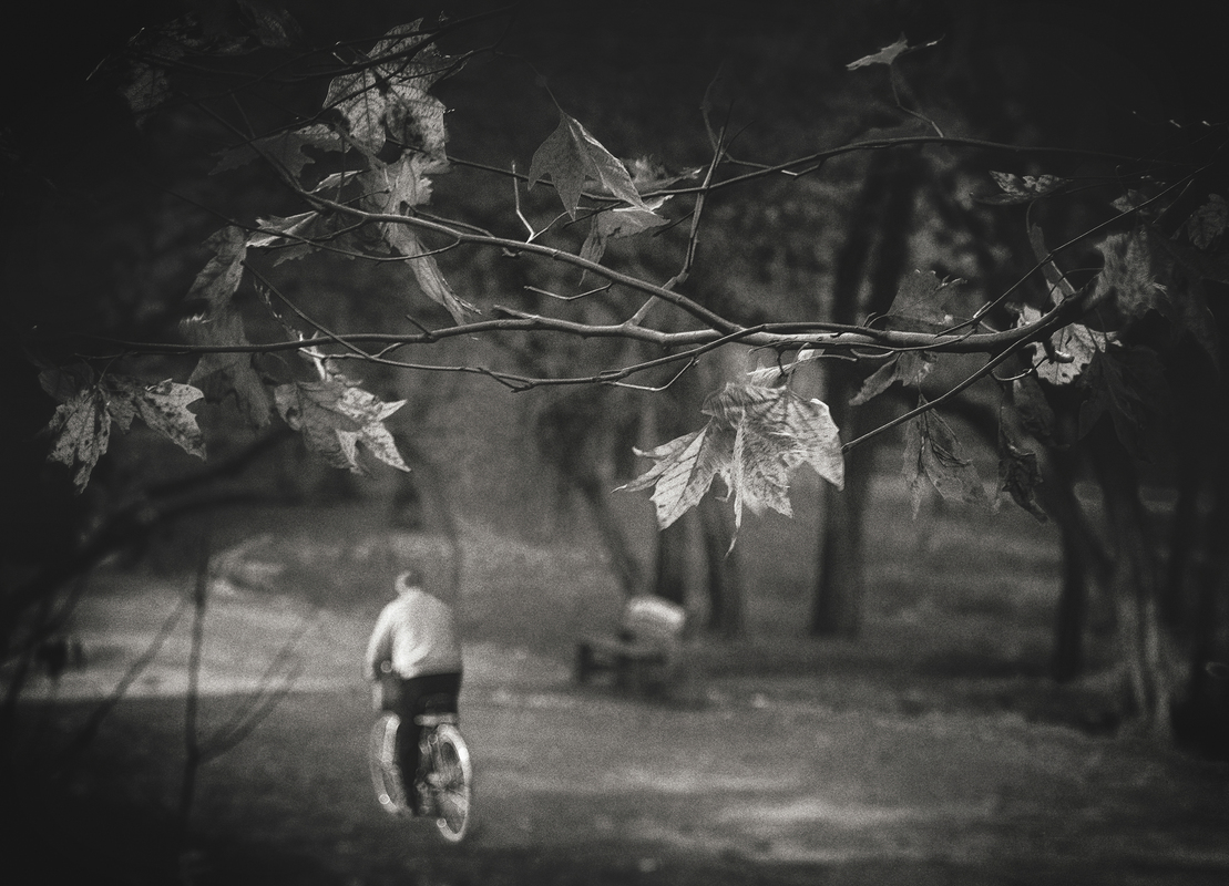 Дорога в осень