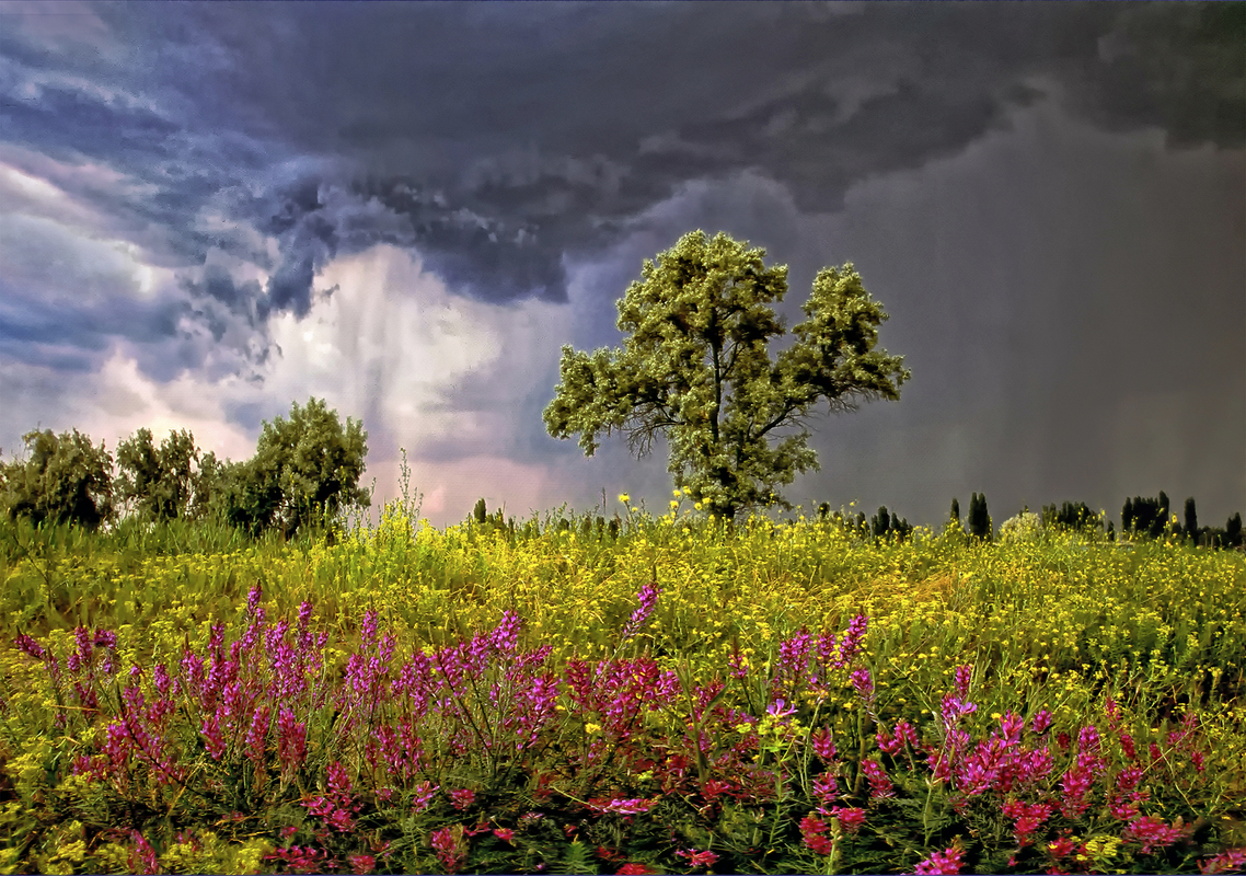 Перед грозой