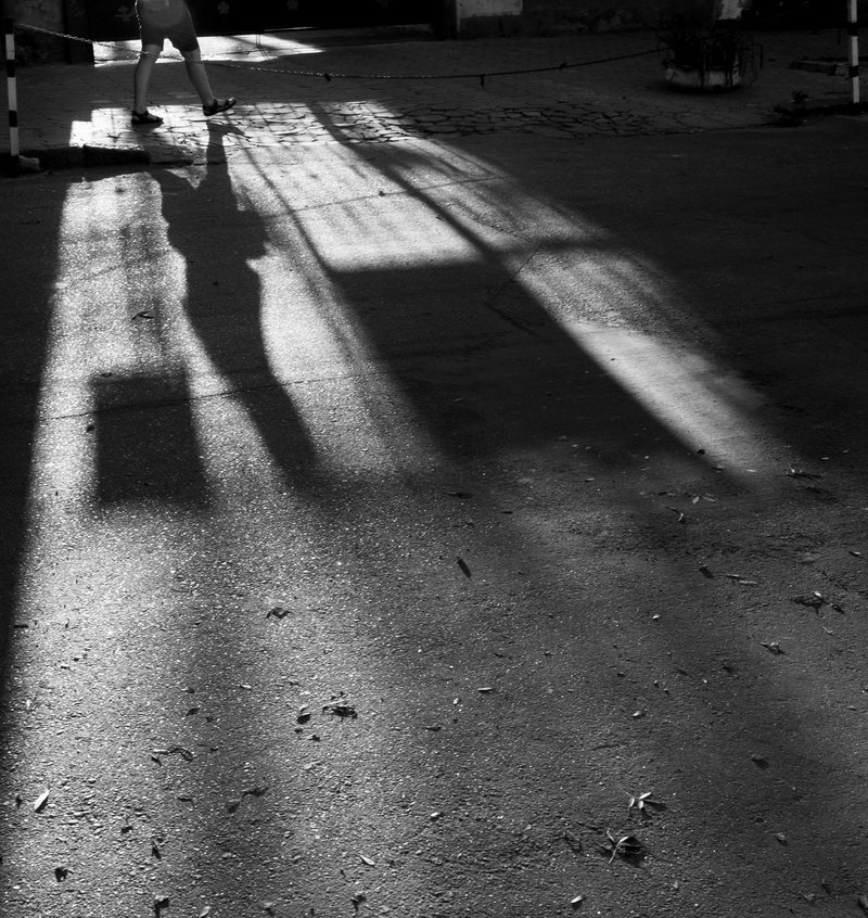 тени города