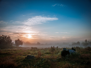 Ранкові тумани