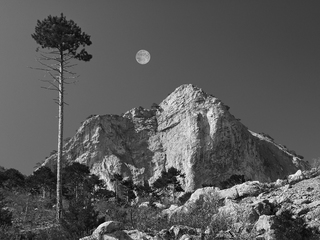 Три самотності