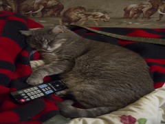 Мирний (теле)сон