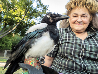 Друзі (жінка з вигодженним нею птахом Гошею)