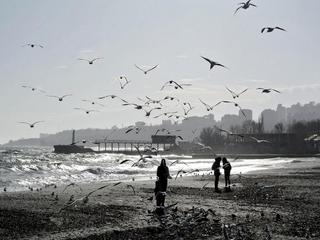 Подражание Хичкоку