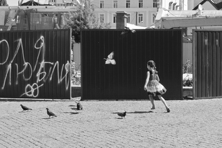 Свободный полет