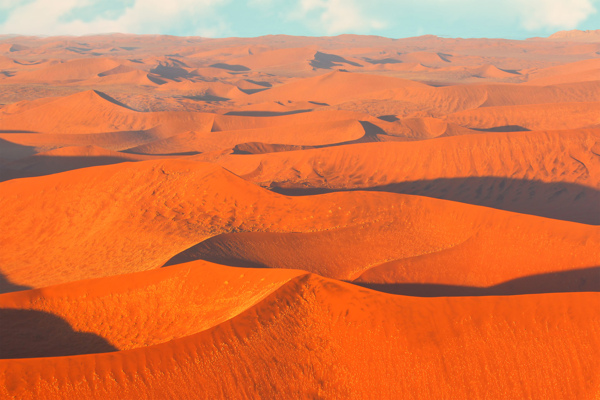 Dunes with a bird's eye view