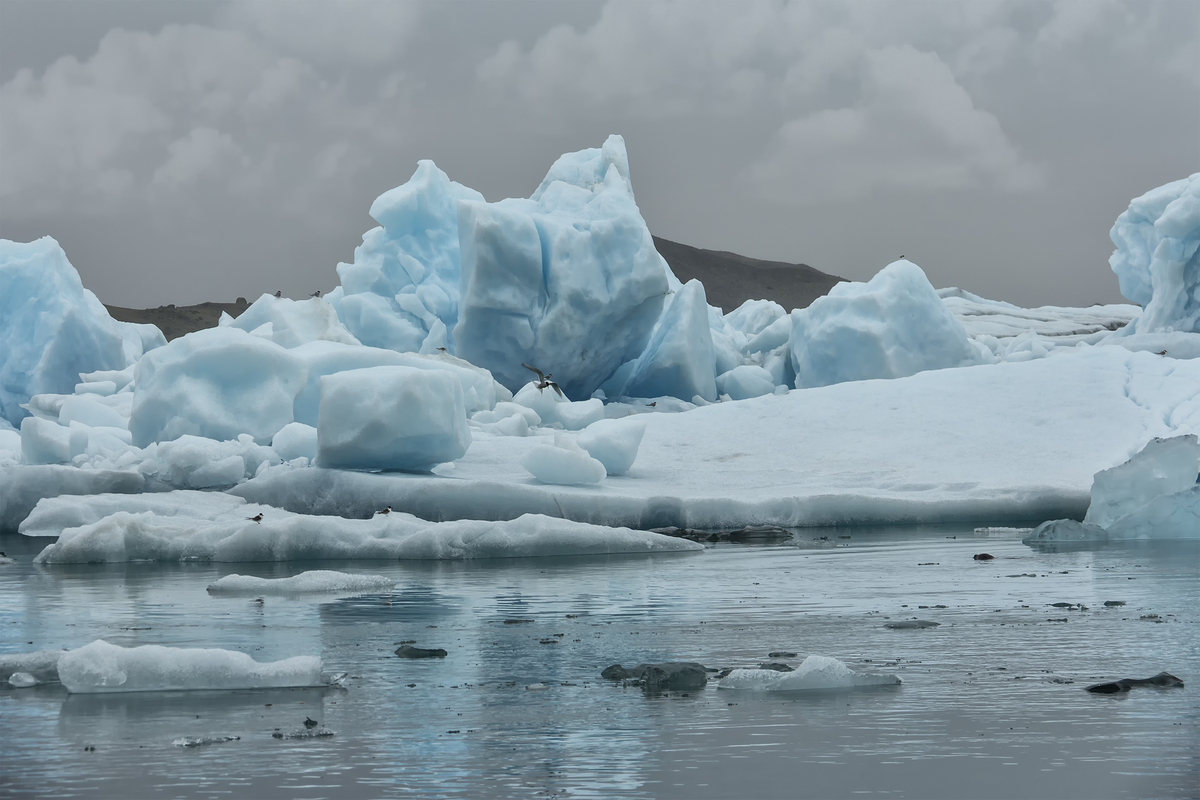 Jokulsarlon lagoon