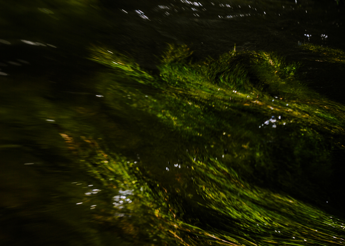 Меланхолия