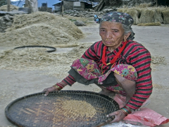 Трудівниця