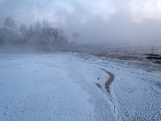 Поліські зими