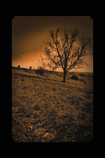 без назви....