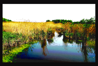 тече річка-невеличка...