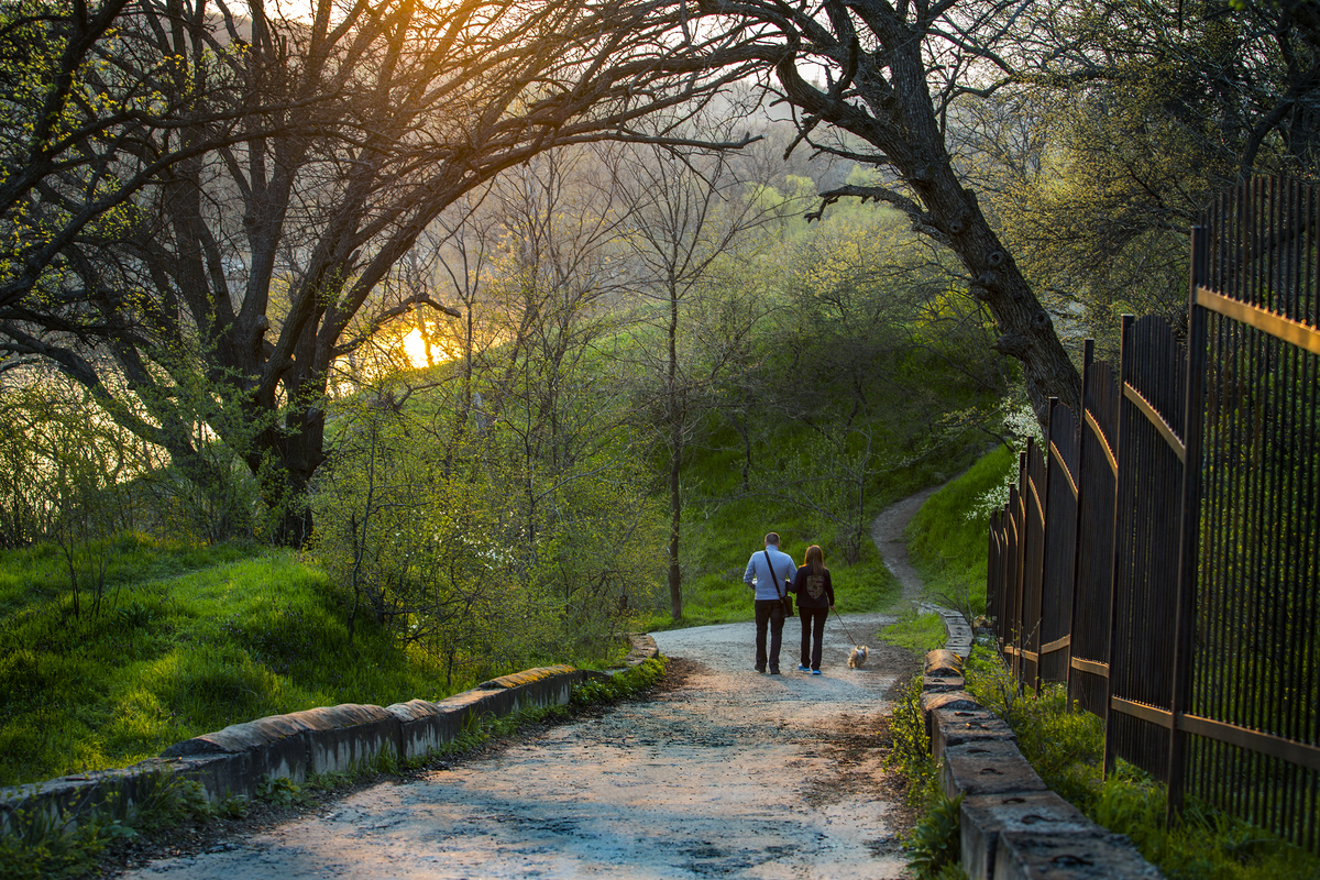 2. Хортица. Тихий вечер.