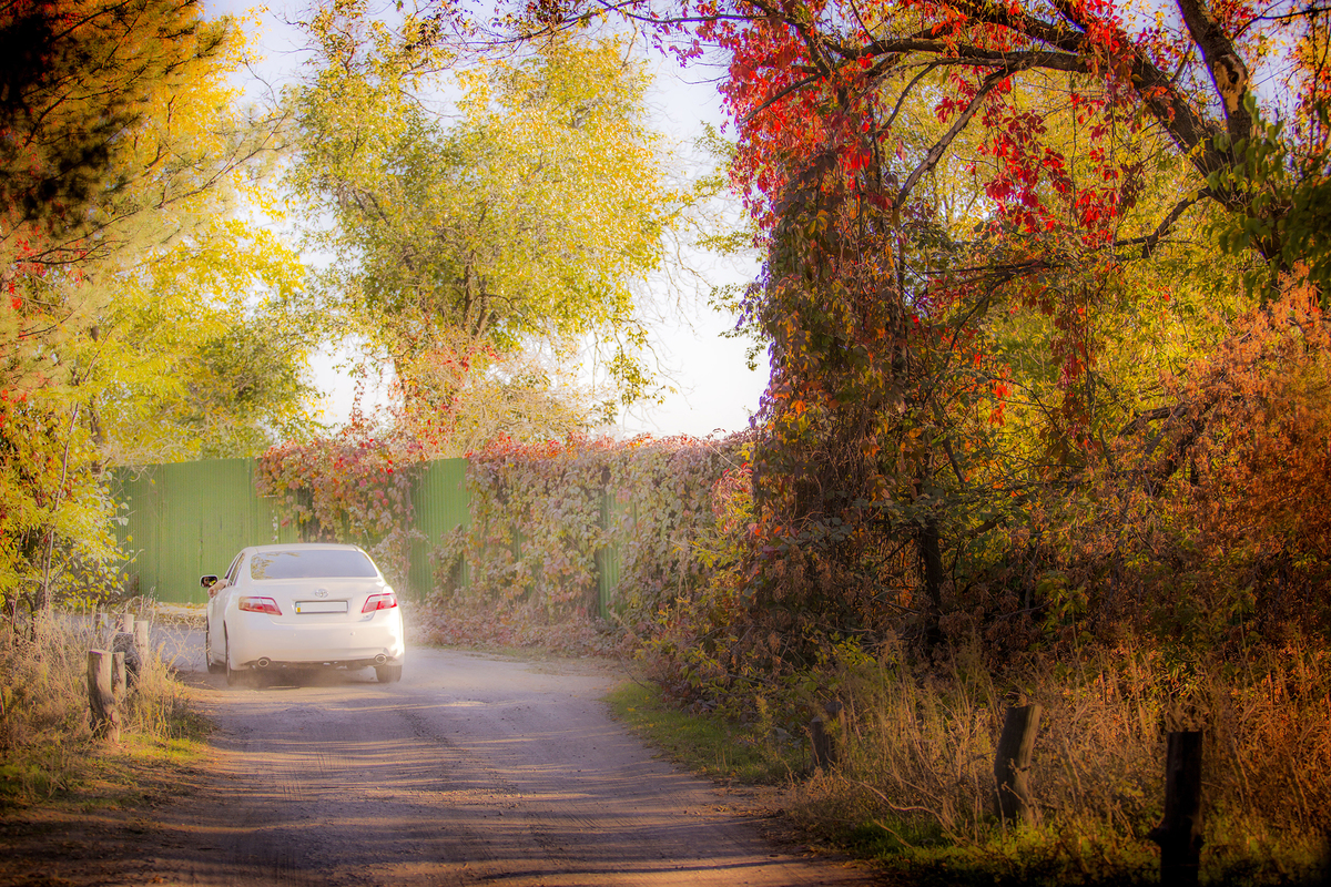 4, Дивный свет.